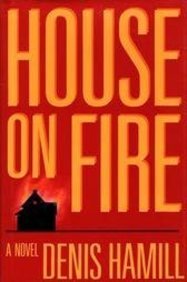 House on Fire - Premium Home Decor & Unique Wall Art for Living Room, Bedroom, Office | Perfect Gift for Housewarming, Birthday & Holiday Decorations