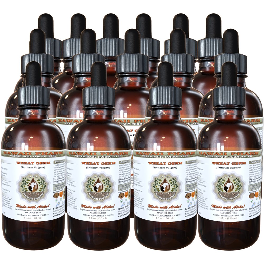 HawaiiPharm Wheat Germ Alcohol-Free Liquid Extract for Pets - Natural Herbal Supplement for Dogs & Cats (15x4 oz) - Supports Skin, Coat & Immune Health - Perfect for Daily Wellness & Digestive Support