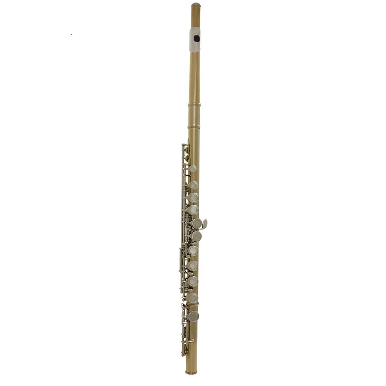 Professional 16-Hole Silver-Plated Flute with Keys - Includes Storage Case & Accessories | Ideal for Beginners, Students & Wind Instrument Enthusiasts | Perfect for Practice, Performances & Music Classes