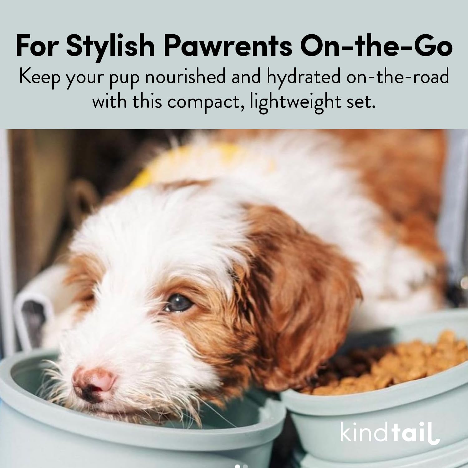 KindTail Portable Pet Feeder - Travel Dog Bowls with Lid & Handle, Microwave & Dishwasher Safe (10oz Inner & 20oz Outer Bowl) - Grey - Perfect for Hiking, Camping & Road Trips
