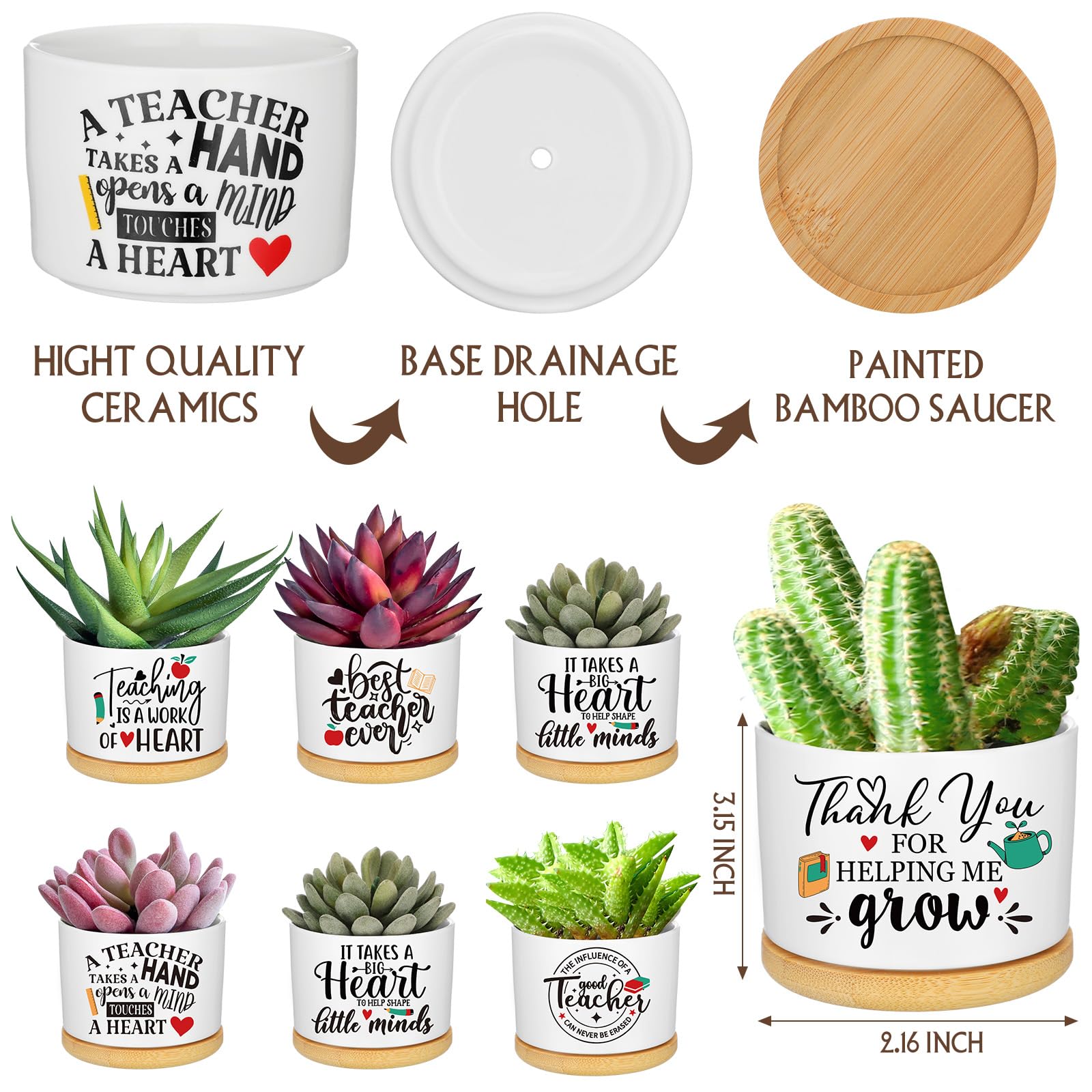 Layhit 24-Piece Teacher Appreciation Gift Set - 16oz Glass Cups, Succulent Plant Pots, Keychains & Women's Socks - Perfect Thank You, Retirement, Christmas & Birthday Gifts for Teachers - Ideal for Classroom Celebrations, End-of-Year Gifts & Staff Recognition Events