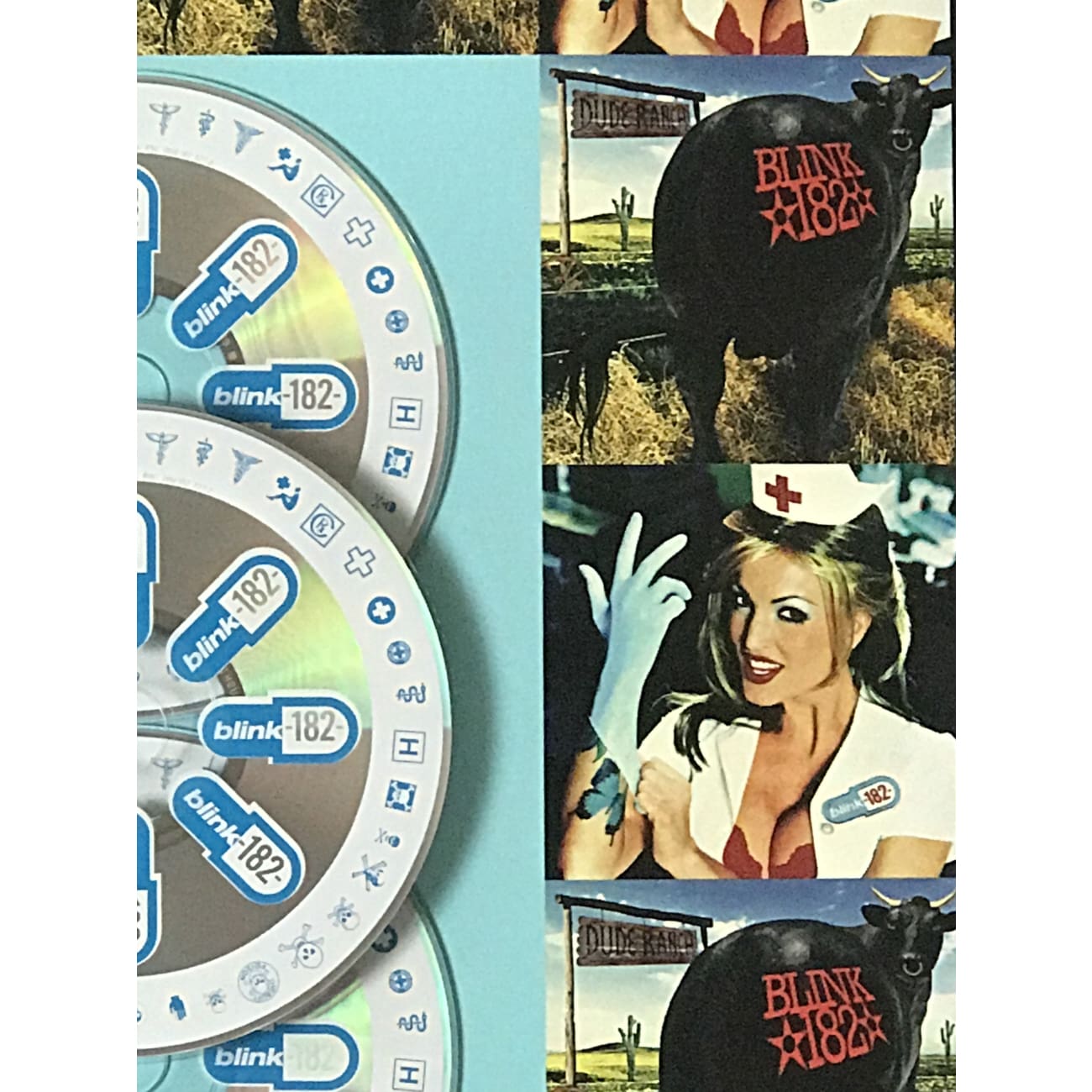 Blink 182 Enema Of The State & Dude Ranch RIAA 3x Multi Platinum Award - Official Music Album for Collectors, Fans & Home Decor - Perfect for Music Lovers, Gift Giving & Rock Memorabilia Displays