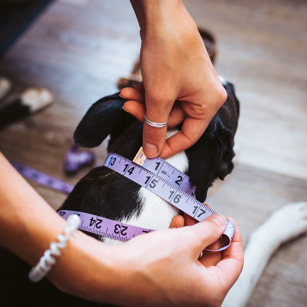 Premium Matching Dog Collar & Leash Set - Natural Leather, Adjustable Pet Walking Accessories for Small Medium Large Dogs - Perfect for Daily Walks, Training & Outdoor Adventures