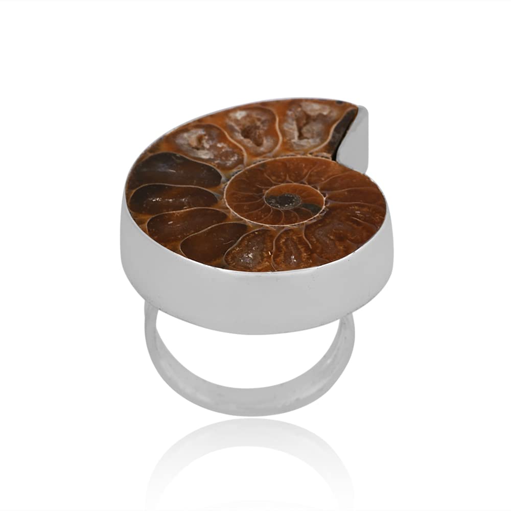 PANOPLY Ammonite Solid 925 Sterling Silver Ring for Women - Elegant Jewelry Gift for Mom, Wife, Girlfriend - Perfect for Birthday, Anniversary, Wedding & Christmas - Size 9.5 - Ideal for Everyday Wear & Special Occasions