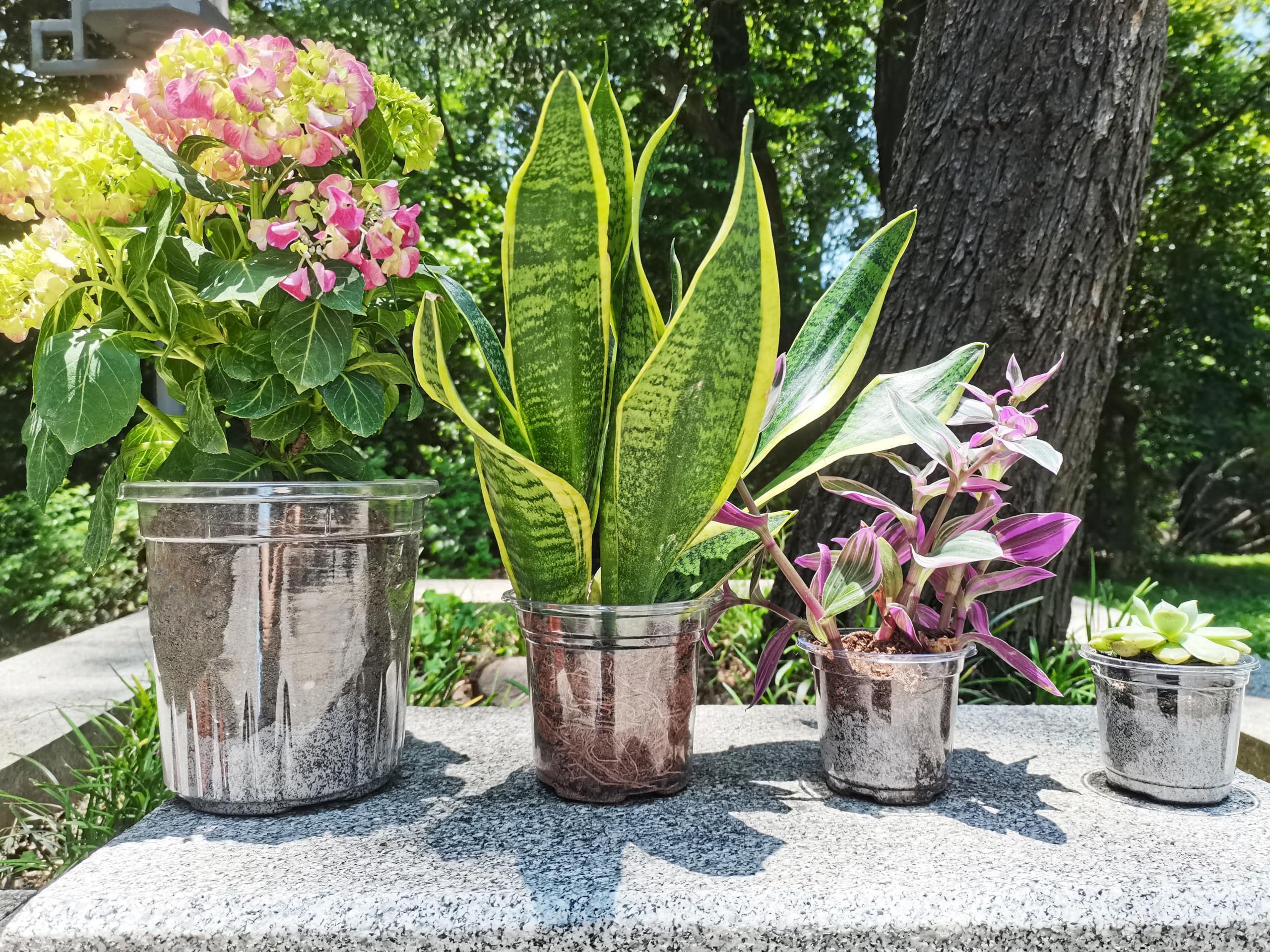 Clear Plastic Plant Pots with Drainage Holes - 4 Sizes (3.5/4/5/6.8 Inch) - 40 Pack Thick Nursery Pots for Indoor Plants, Seedlings & Succulents - Perfect for Home Gardening, Plant Propagation & Office Decor