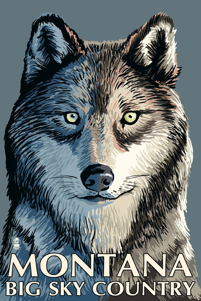 Wolf Up Close - Montana Big Sky 31017 Signed Art Print (24x36) - Premium Wildlife Wall Decor for Living Room, Office & Cabin Decor