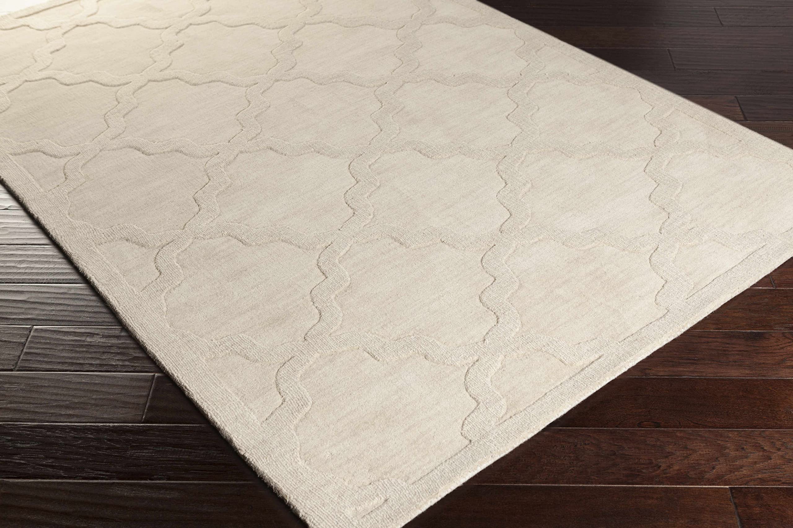 Hauteloom Orick Wool Area Rug for Living Room & Bedroom - Solid Beige with Border - 3' x 5' - Soft & Durable - Perfect for Home Decor, Cozy Spaces & High-Traffic Areas
