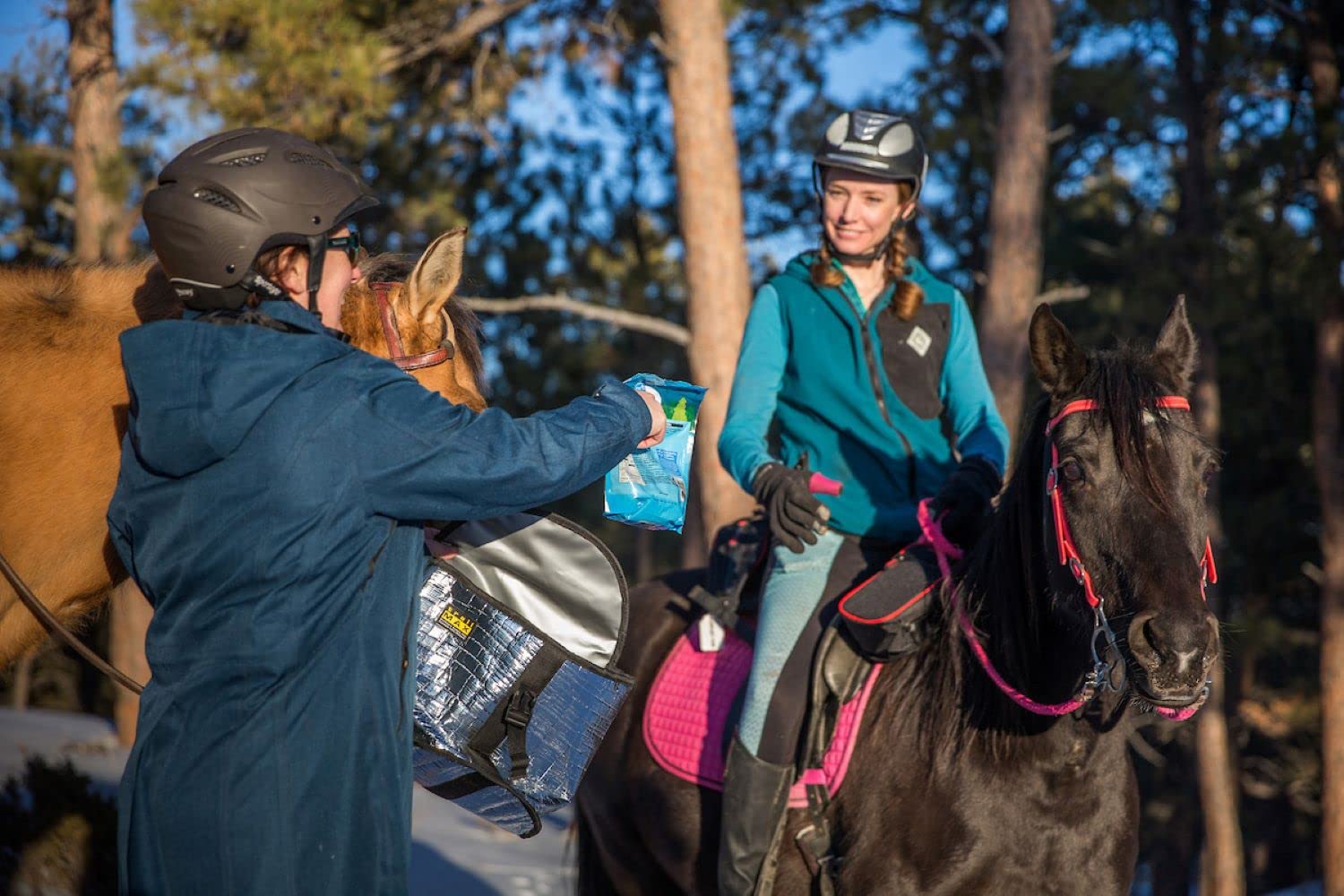 TrailMax Medium Insulated Horse Saddlebags for Western & Endurance Riding - Detachable Cantle Bag Included | Perfect for Trail Rides, Camping & Long-Distance Horseback Adventures