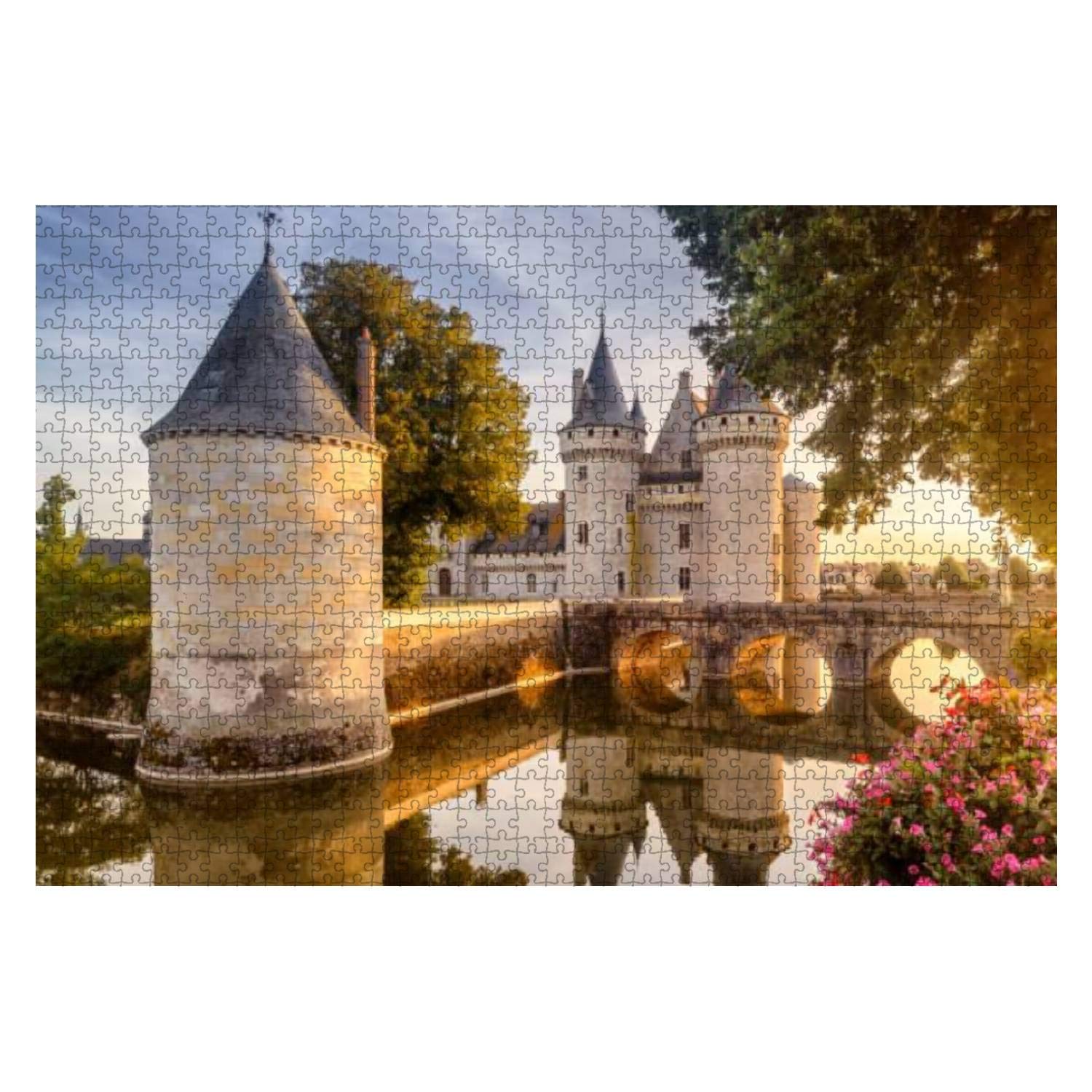 1000-Piece Wooden Jigsaw Puzzle - Sully-sur-Loire Castle Sunset France | Educational Puzzle for Adults & Kids | Stress Relief & Brain Training | Perfect for Family Game Night & Classroom Activities