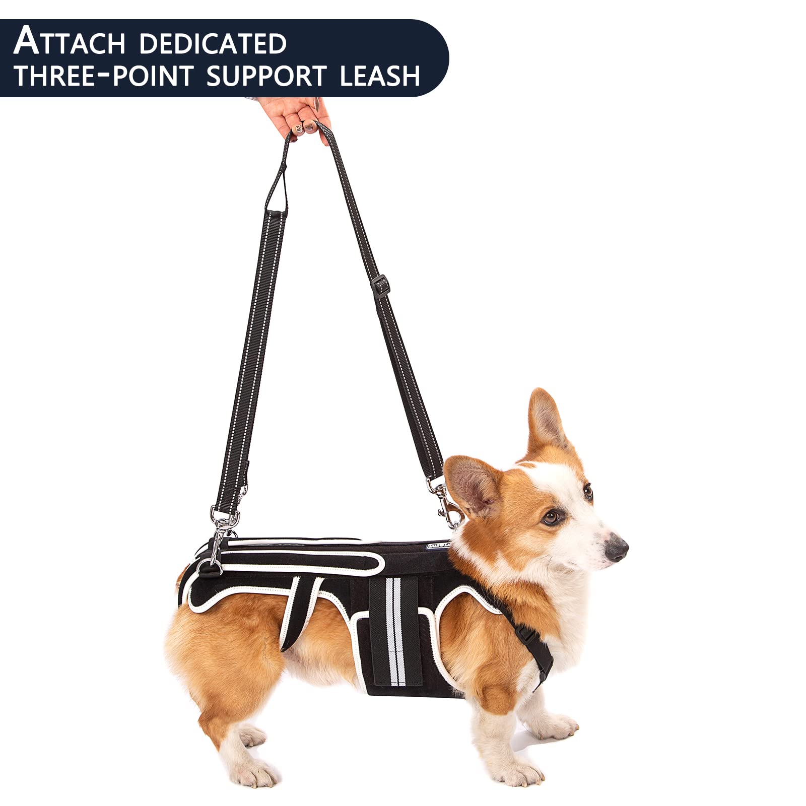 Dog Back Brace for IVDD, Arthritis & Back Pain Relief - Support Harness for Dachshunds & Surgical Recovery (Large) - Ideal for Post-Surgery Rehabilitation & Mobility Support