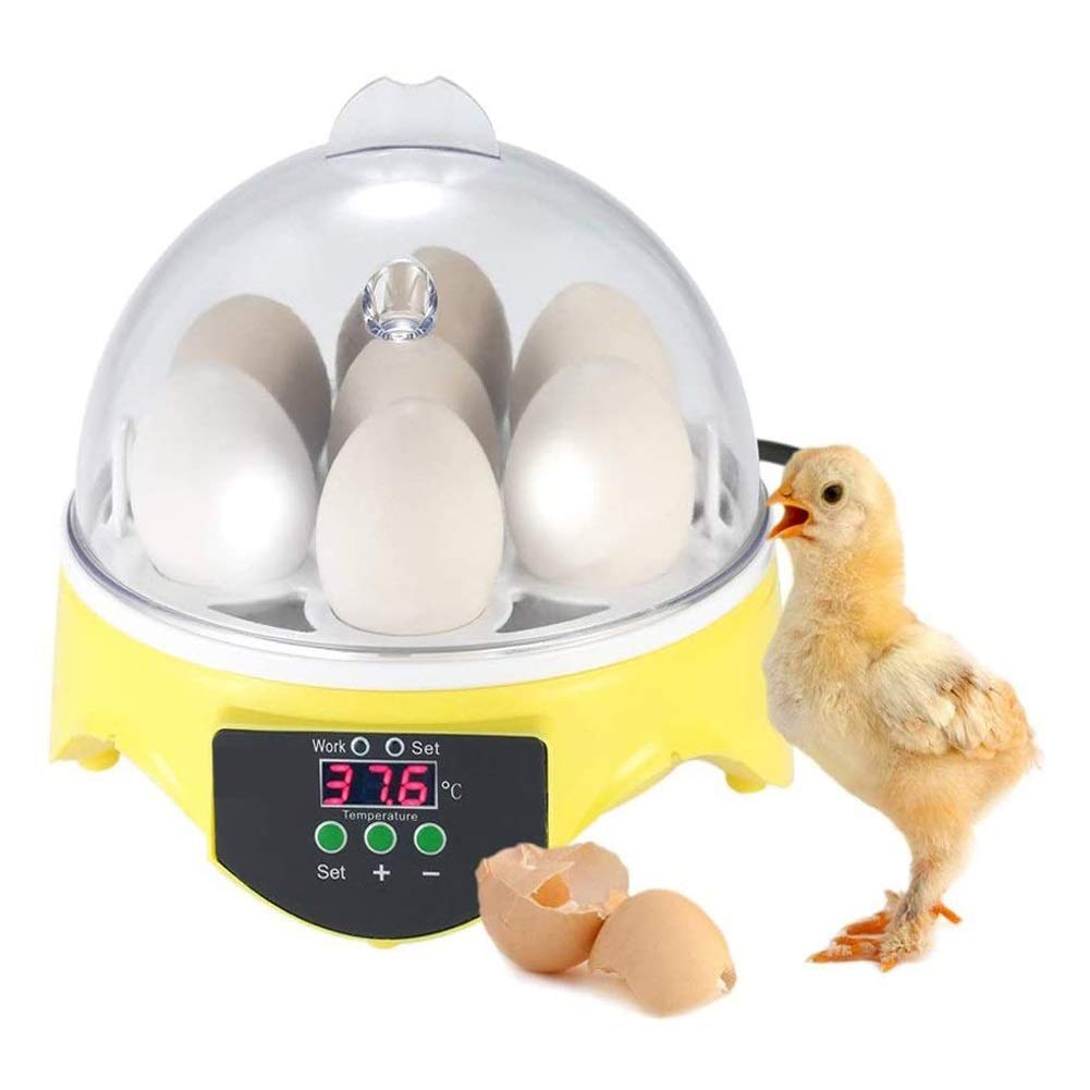 Automatic Digital Egg Incubator for Hatching Chickens, Ducks, Geese, Quail, Parrots & Pigeons - 7 Egg Capacity with Precise Temperature Control (Yellow) - Perfect for Home Poultry Farming, Bird Breeding & Classroom Science Projects