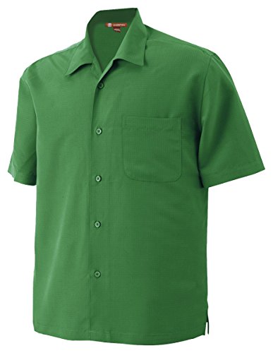 Palm Green