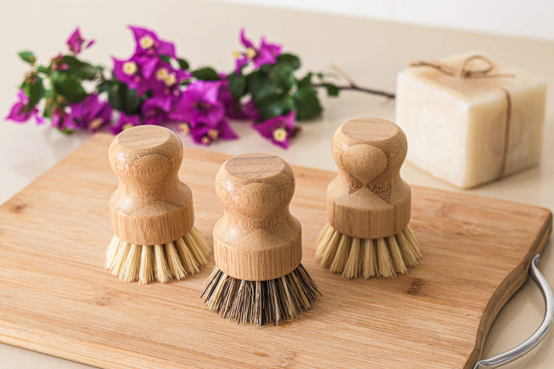 Eco-Friendly Bamboo Dish Brush Set - 3 Pack for Kitchen & Veggies