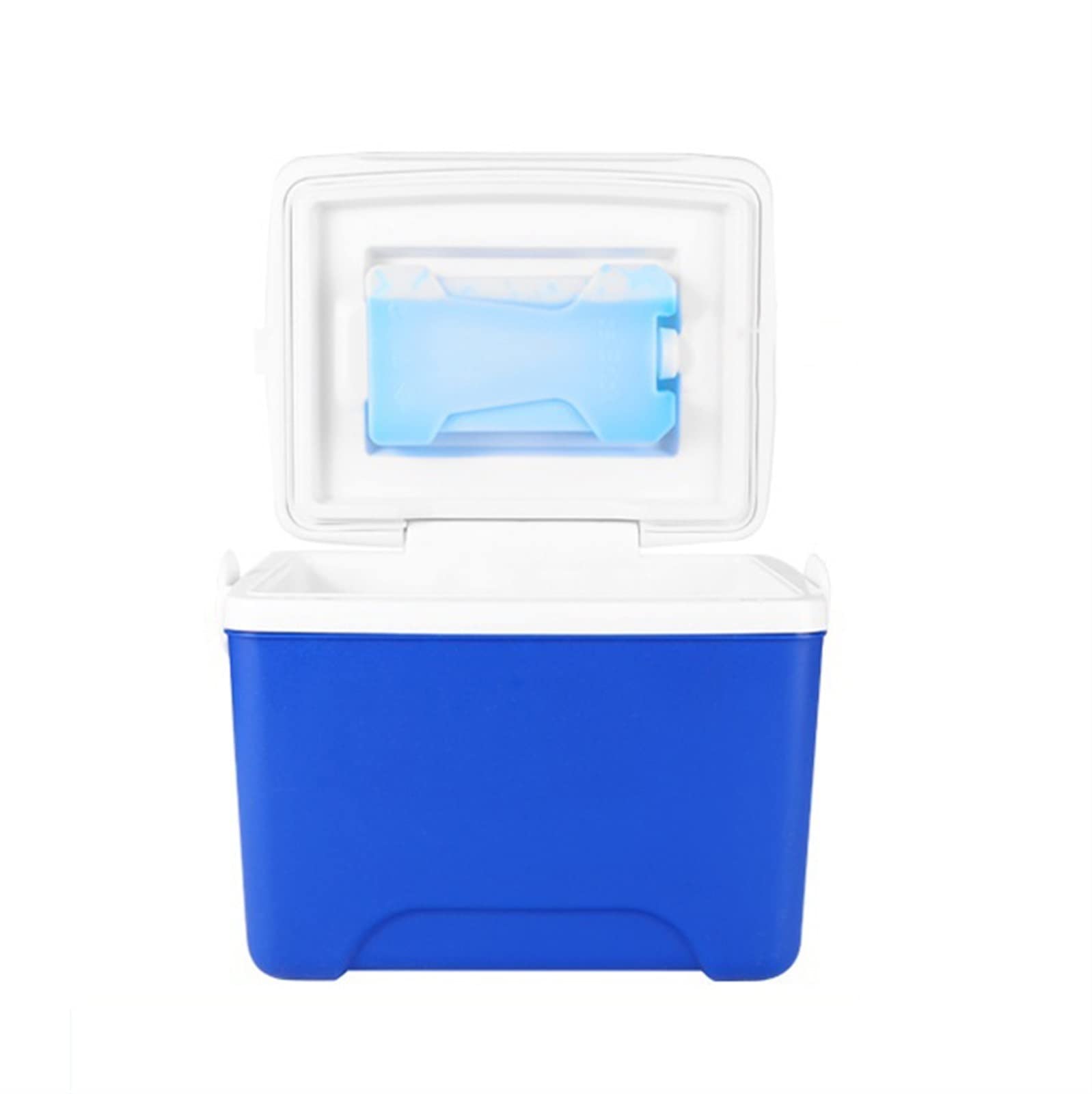 Portable Mini Fridge 6L - Compact Travel Refrigerator with Handle for RV, Truck, Boat, Camping & Picnic - Blue Freezer Cooler for Drinks, Snacks & Food Storage