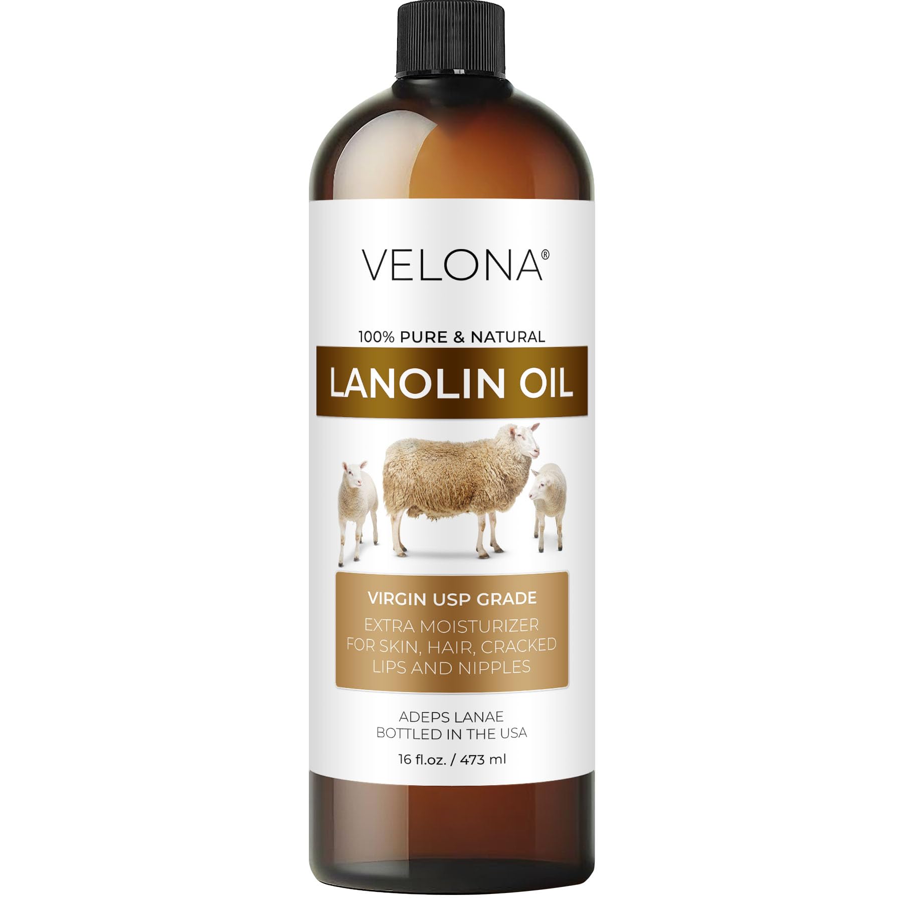 Velona Lanolin Oil USP Grade 16 fl oz - 100% Pure Natural Refined Cold Pressed Carrier Oil for Skin, Hair, Body & Face Moisturizer - Perfect for Dry Skin Care, DIY Beauty Products & Massage Therapy