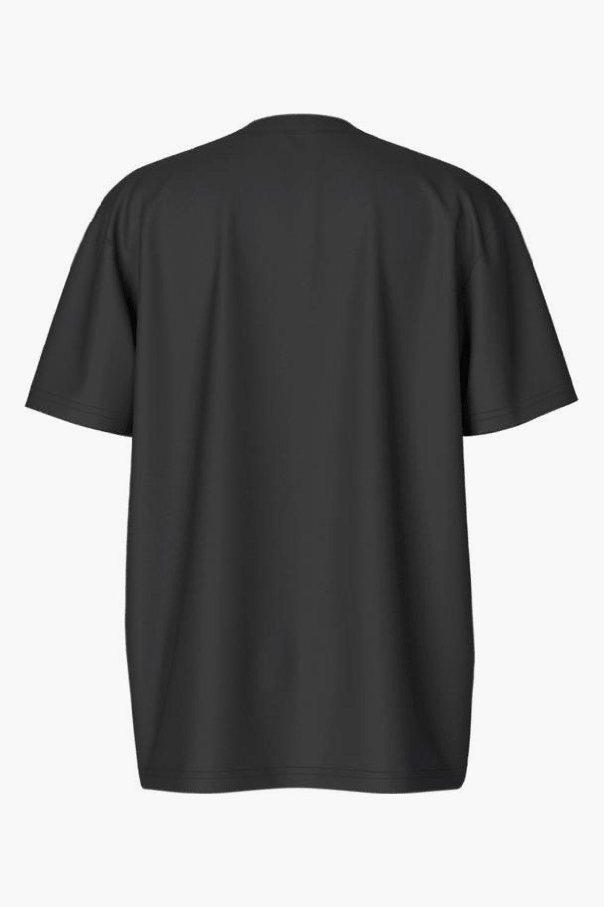 The North Face Boys' Graphic Logo T-Shirt - Comfortable & Stylish Kids' Tee for Outdoor Adventures & Casual Wear
