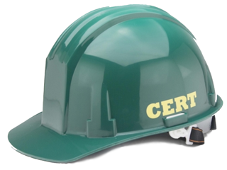 CERT Safety Hard Hat with Adjustable Chin Strap - ANSI Compliant Construction Helmet for Industrial Work, Construction Sites & Outdoor Projects