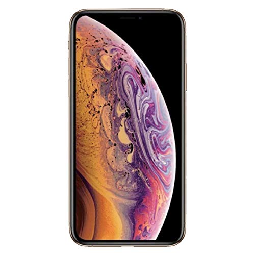 Apple iPhone XS Max 256GB Unlocked Smartphone - 6.5