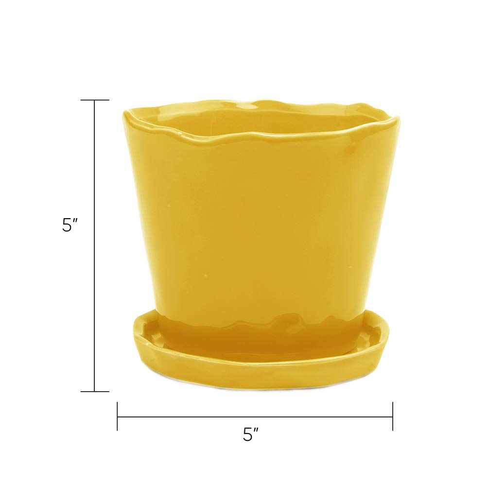 CHIVE ‘Tika’ 5-Inch Large Succulent Planter Pot - Modern Decorative Flower Pot for Indoor Plants, Home & Kitchen Decor - Yellow Ceramic Plant Container for Succulents, Cacti, Herbs | Perfect for Windowsills, Office Desks & Gift Giving