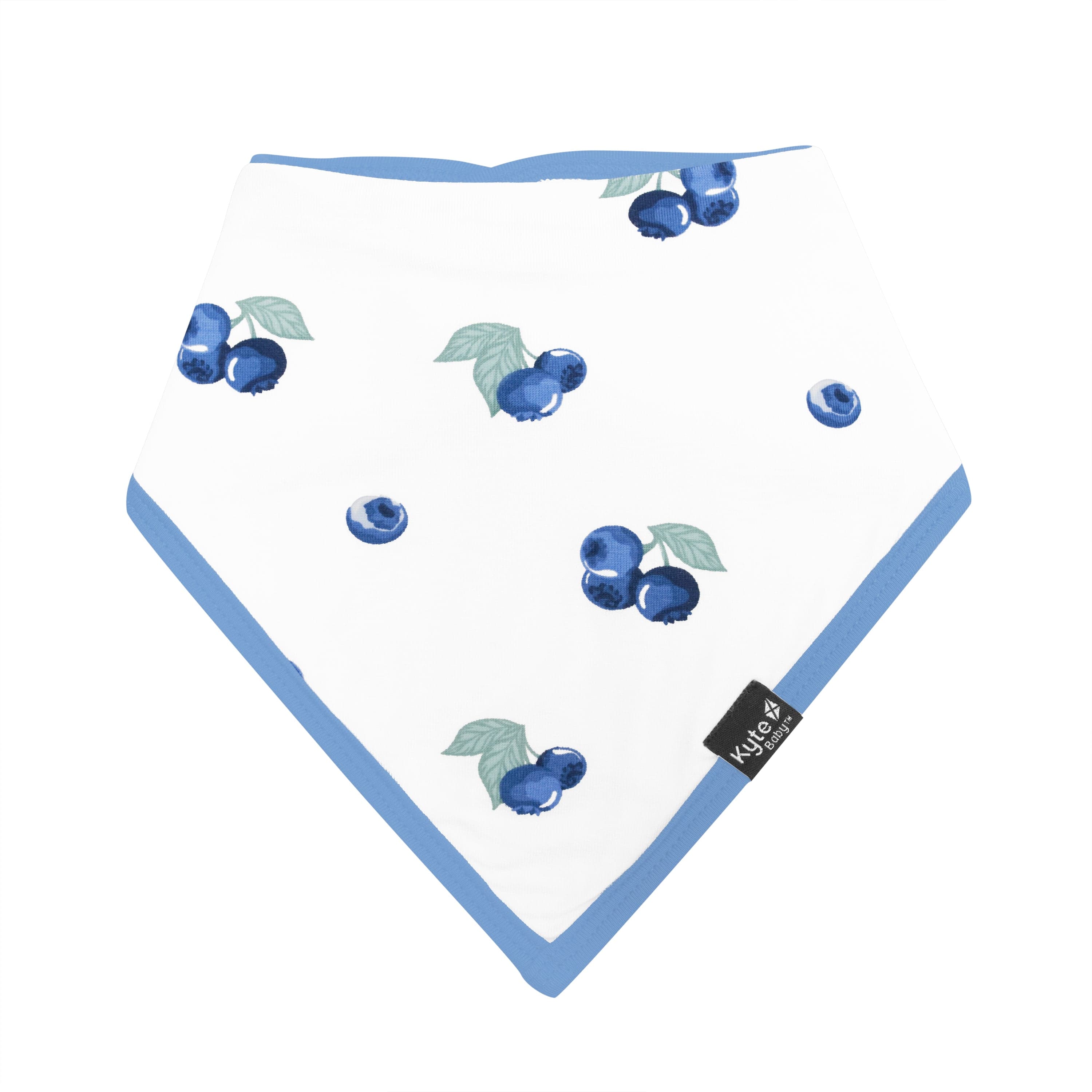 Blueberry Baby Bib - Soft & Absorbent Drool Bib for Infants & Toddlers - Perfect for Feeding, Mealtime & Drool Protection