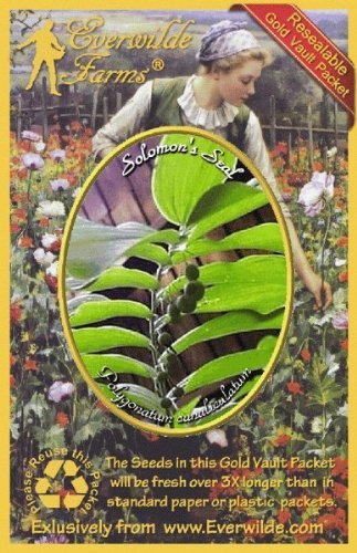 Everwilde Farms - 20 Solomon's Seal Native Wildflower Seeds - Gold Vault Seed Packet for Shade Gardens & Woodland Landscaping
