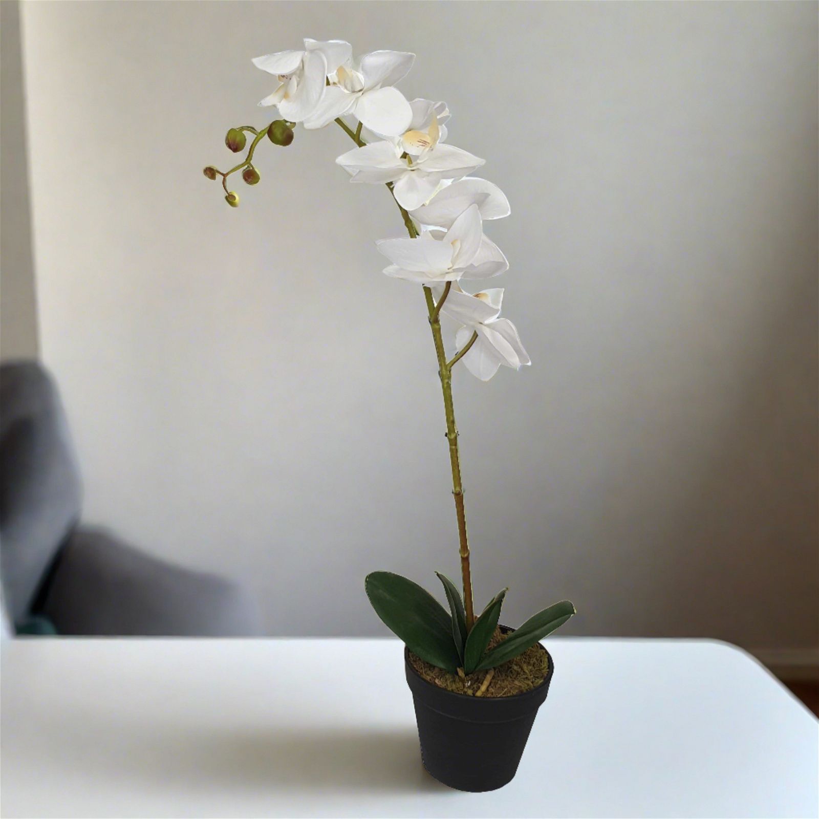 60cm Artificial Orchid Plant with White Flowers - Realistic Fake Floral Decor for Home, Office, Wedding & Party Decoration by Criterion