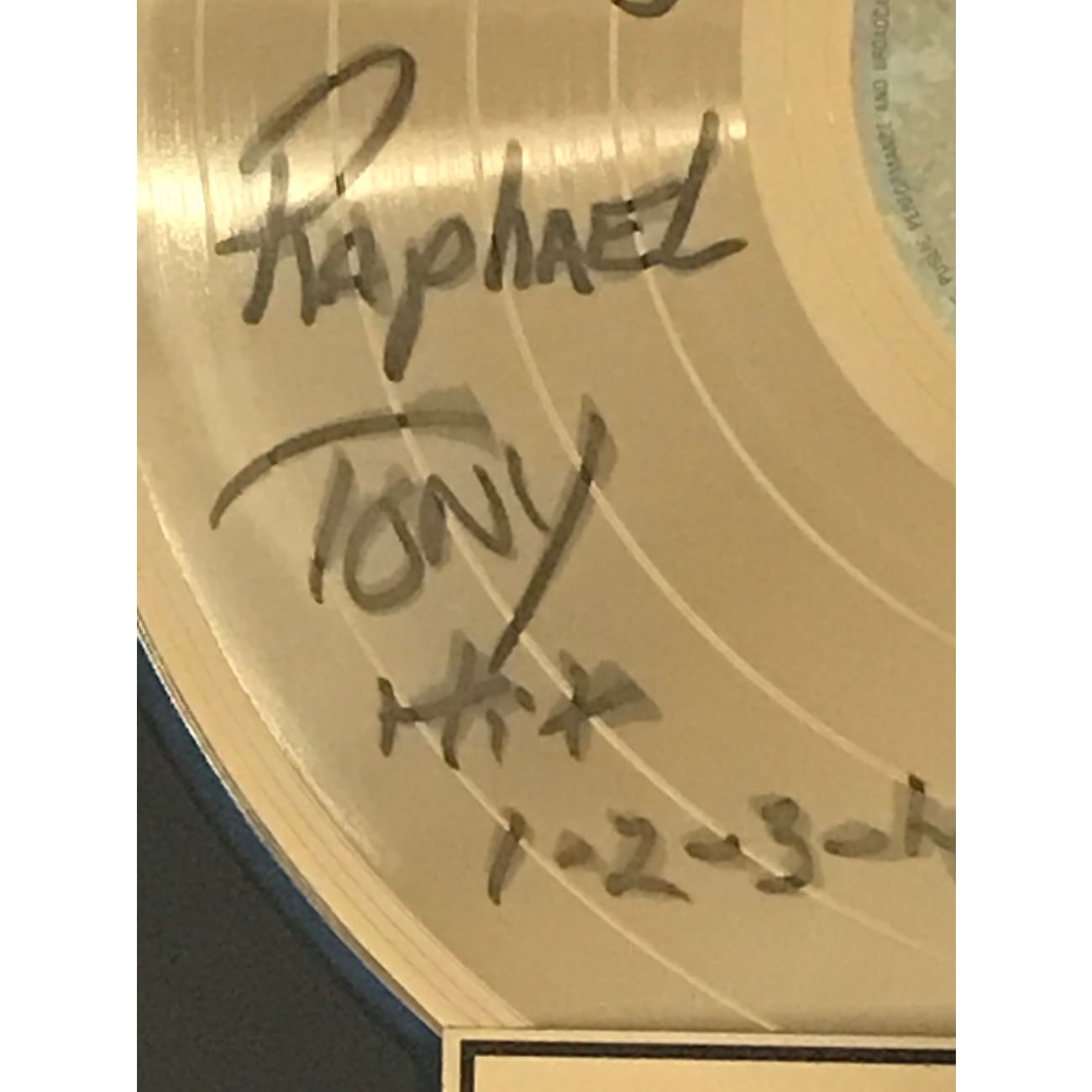 Tony Toni Toné The Revival RIAA Gold Album Award - Autographed by the Group | Collectible Music Memorabilia for Fans & Vinyl Enthusiasts | Perfect for Display in Music Rooms, Studios, or Fan Collections
