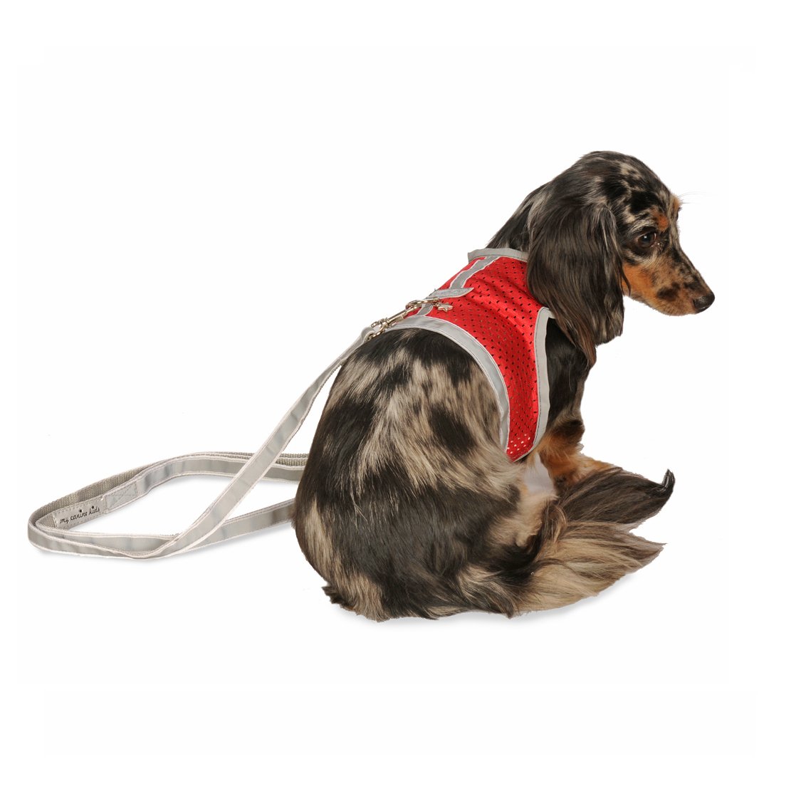 **Reflective Mesh Dog Harness for Small Dogs & Puppies - Breathable, Adjustable Velcro Closure | Perfect for Teacup Breeds, Walks & Outdoor Adventures**
