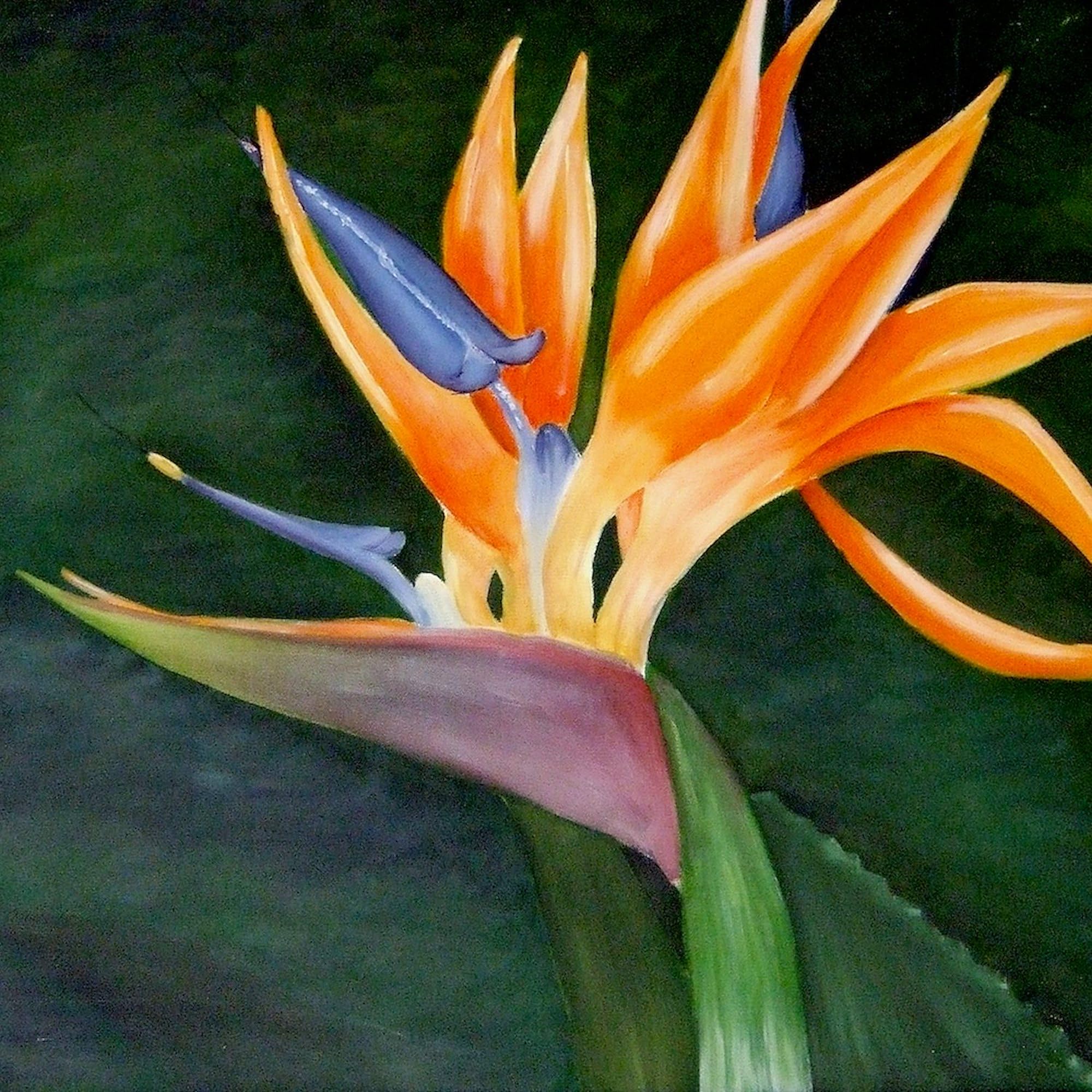 Premium Natural Canvas Tote Bag with Bird of Paradise Oil Painting Design - Eco-Friendly Reusable Shopping Bag for Groceries, Beach & Daily Use