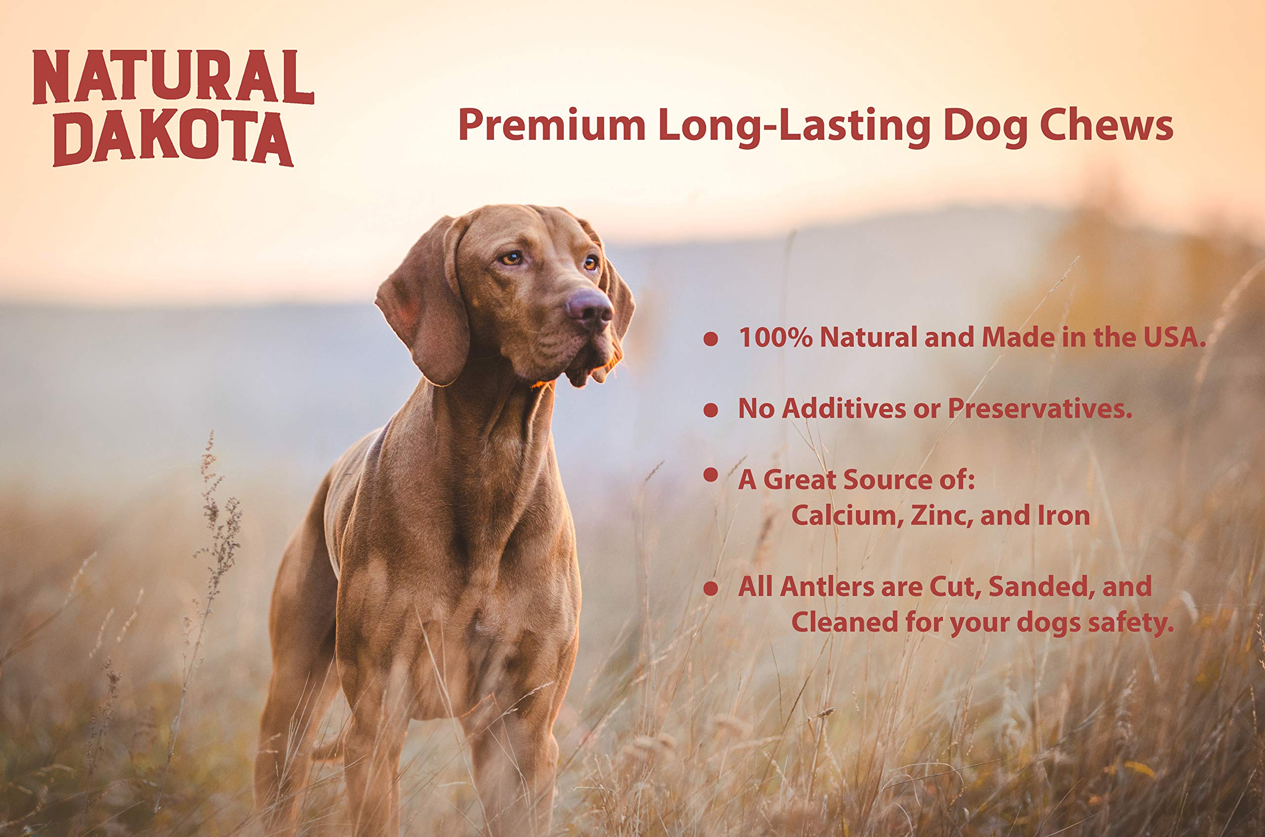 Premium Natural Dakota Deer Antler Chew Toys for Dogs - Large Size, Long-Lasting Dog Bone for Aggressive Chewers - Perfect for Teething Puppies & Dental Health