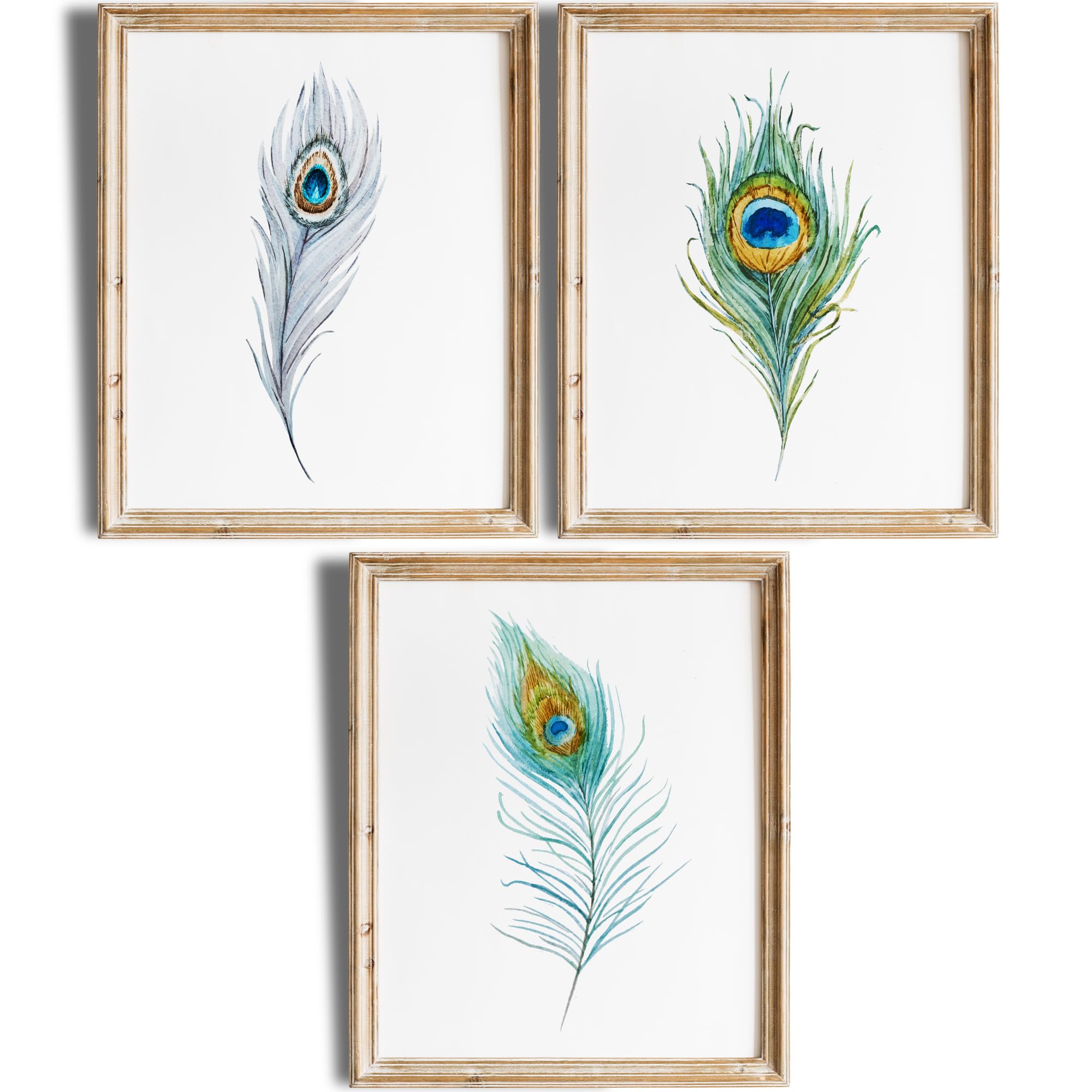 Peacock Feathers Wall Art Prints Set of 3 - 8x10 Inches Unframed Canvas Paintings - Elegant Home Decor for Living Room, Bedroom, Office & Kitchen - Boho Chic Wall Decor for Housewarming Gifts