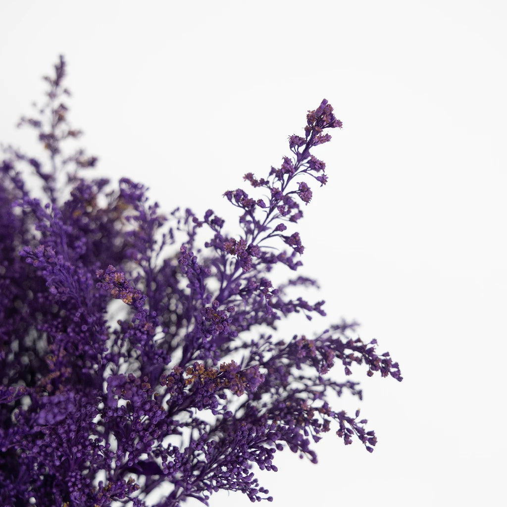 Natural Amethyst Purple Solidago Flowers for Home Decor, Wedding Bouquets & Floral Arrangements | Dried Goldenrod Flowers for DIY Crafts, Centerpieces & Gifts