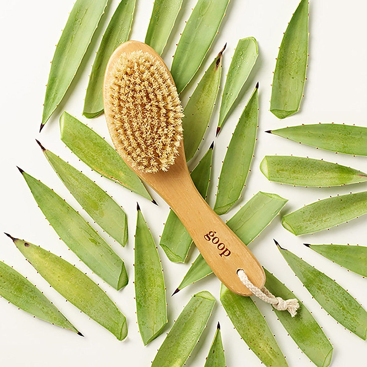 G.Tox Ultimate Dry Brush for Body Exfoliation & Lymphatic Drainage – Natural Bristle Skin Brush for Cellulite Reduction & Detox – Perfect for Dry Brushing Routine & Spa Day at Home
