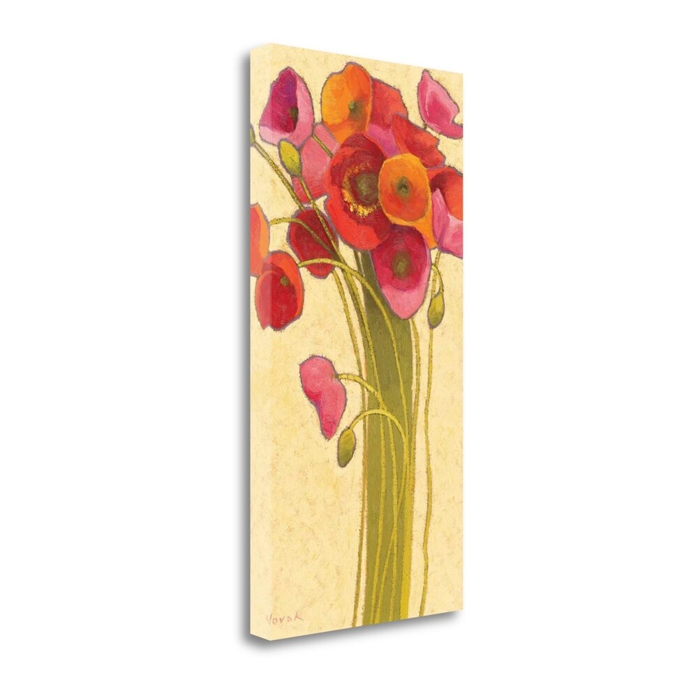 Amapola Barcelona I Wag By Shirley Novak - Premium Giclee Print on Gallery Wrapped Canvas - Modern Wall Art for Living Room, Bedroom & Office Decor