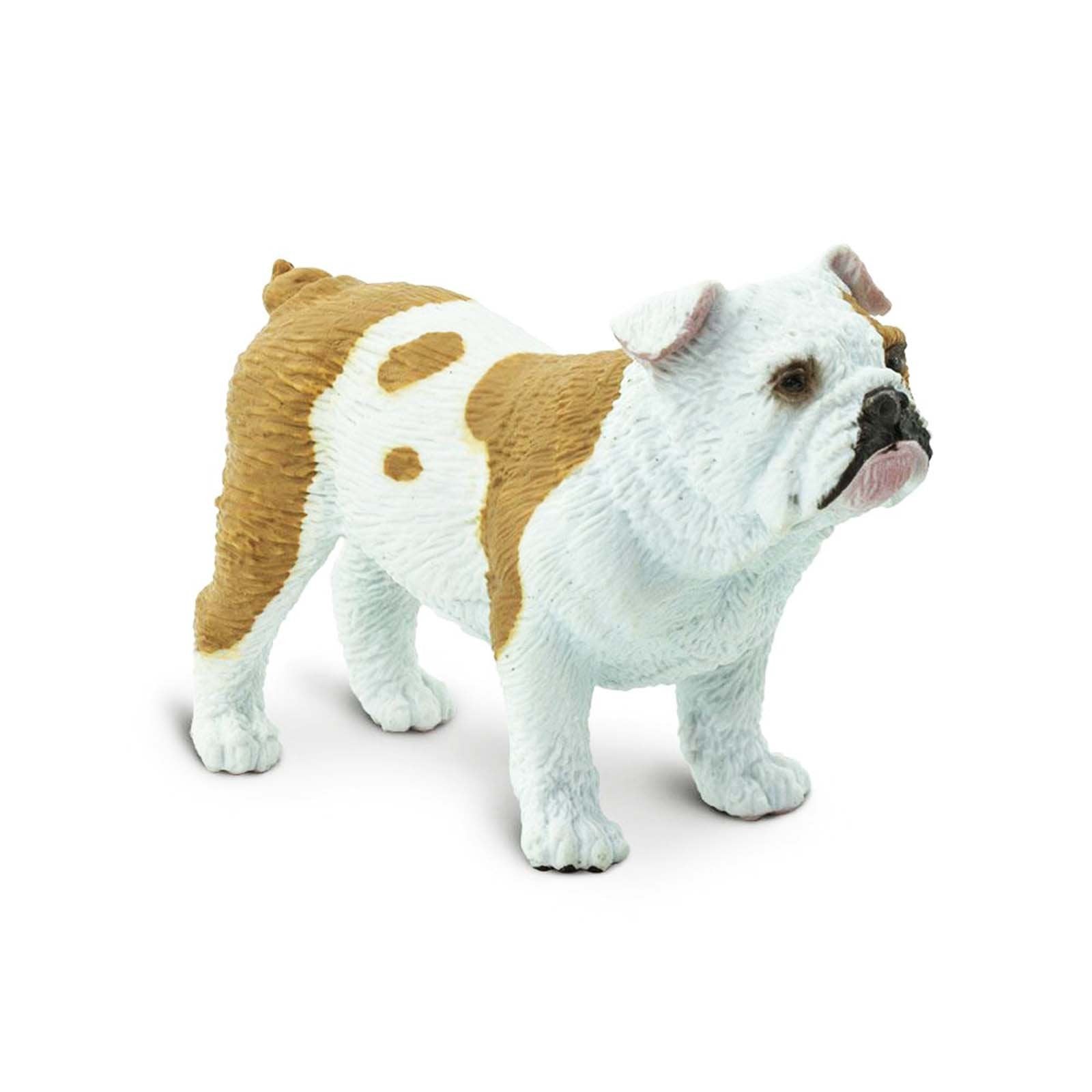 Bulldog Best In Show Dog Figurine by Safari Ltd - Realistic Collectible Toy for Dog Lovers, Home Decor & Kids Play