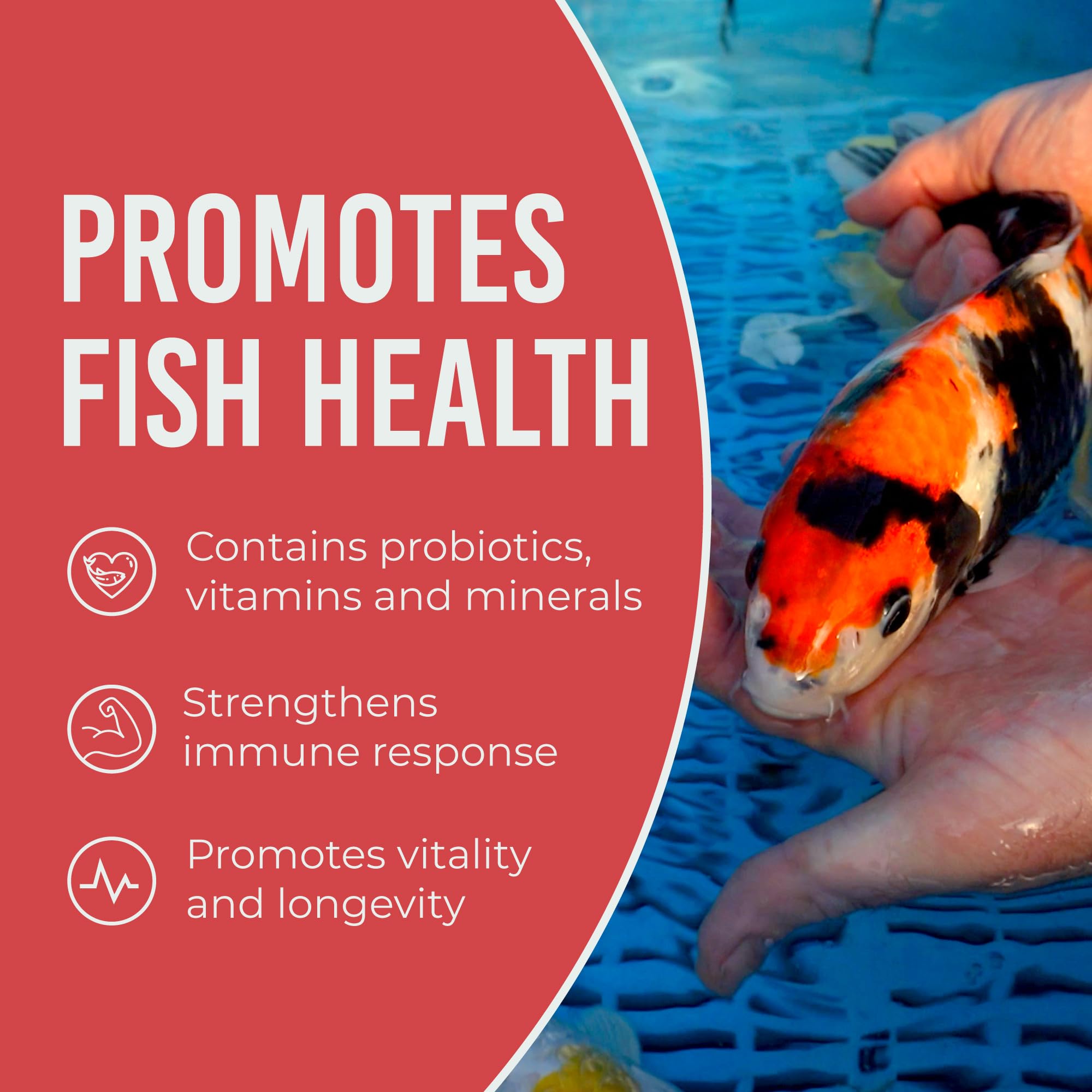 Premium Koi Fish Food 2lb - Large Growth Formula for Ponds | Floating Pellets for Fall & Winter Feeding