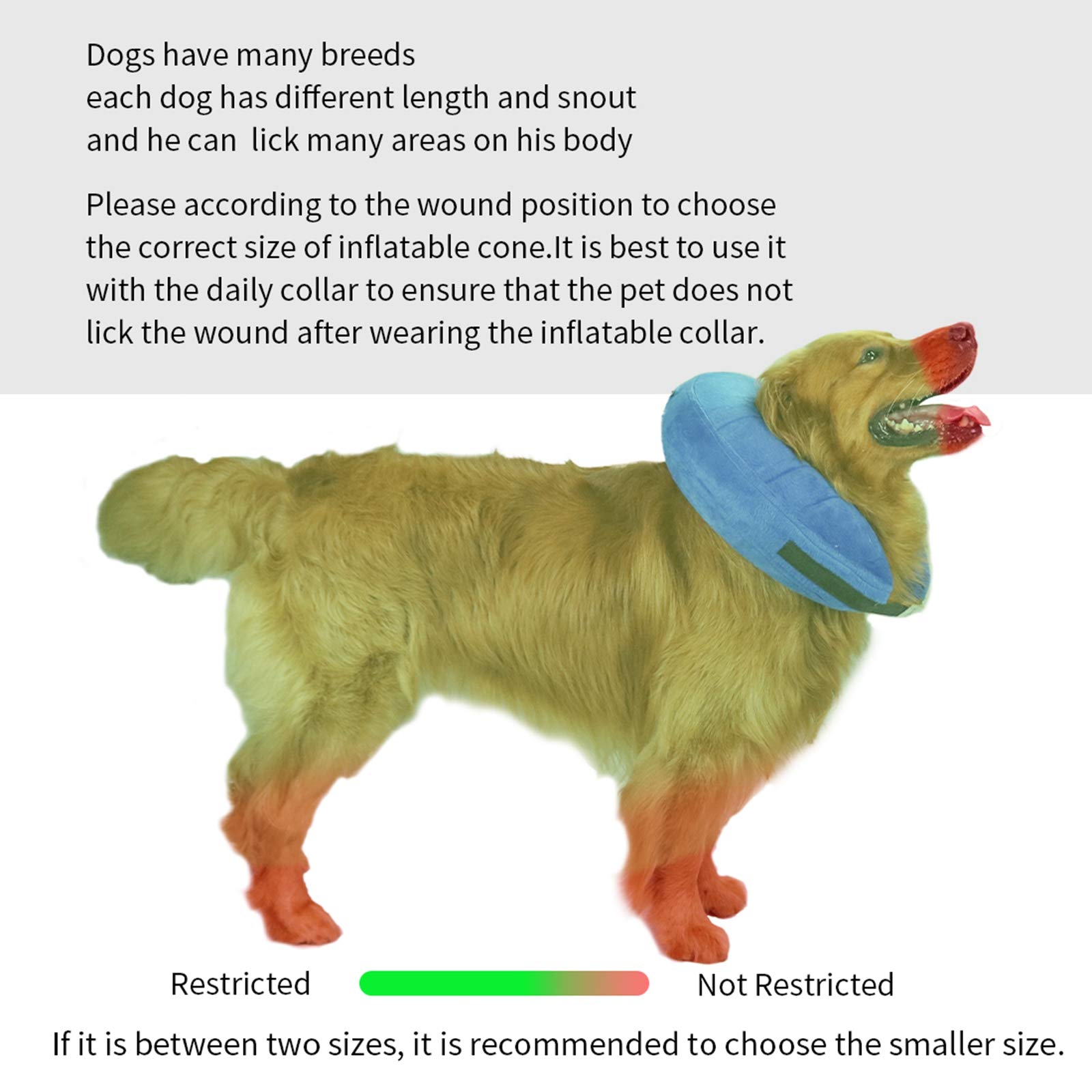 **Inflatable Dog Cone Collar - Adjustable Soft Recovery E-Collar for Post-Surgery Dogs | Prevents Licking, Scratching & Biting | Clear Visibility Design (Large, Blue) | Perfect for Wound Healing & Pet Recovery After Spay/Neuter**