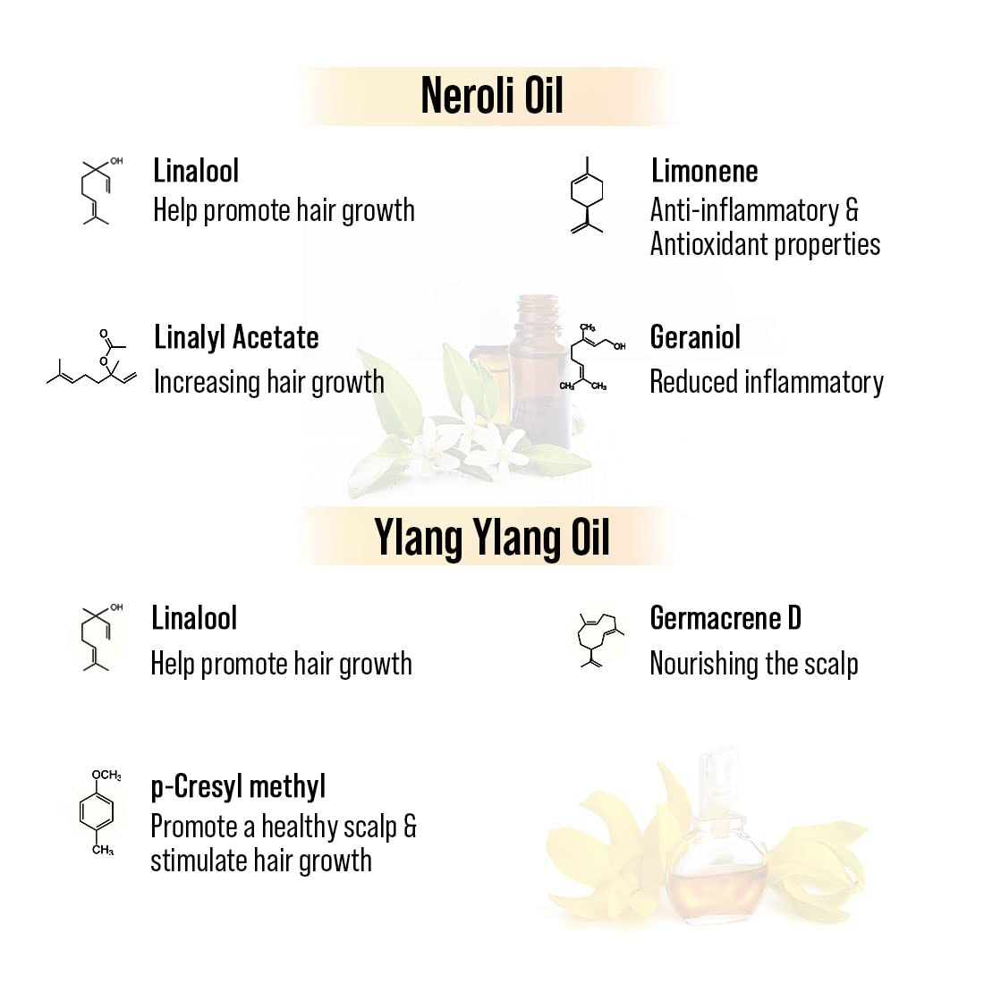 Keya Seth Aromatherapy Alopex Long N Strong Hair Oil with Rosemary & Tea Tree Oil - 100ml Natural Hair Growth Treatment for Thinning Hair, Reduces Hair Fall & Nourishes Scalp - Perfect for Daily Hair Care & Styling Routine