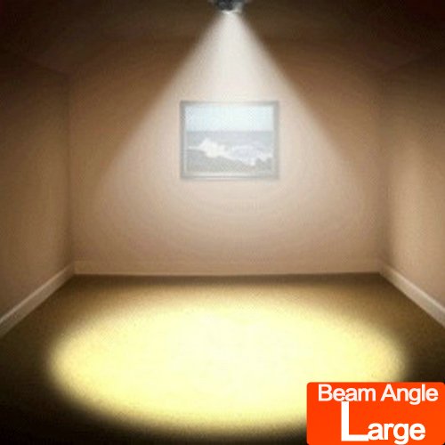 LED Counter Light & Focus Spotlight - Energy Efficient Under Cabinet Lighting for Kitchen, Bar, and Retail Display
