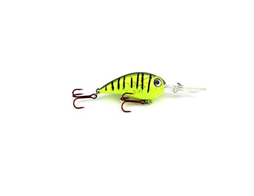Chartreuse Tiger