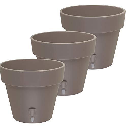 Shade - Set of 3