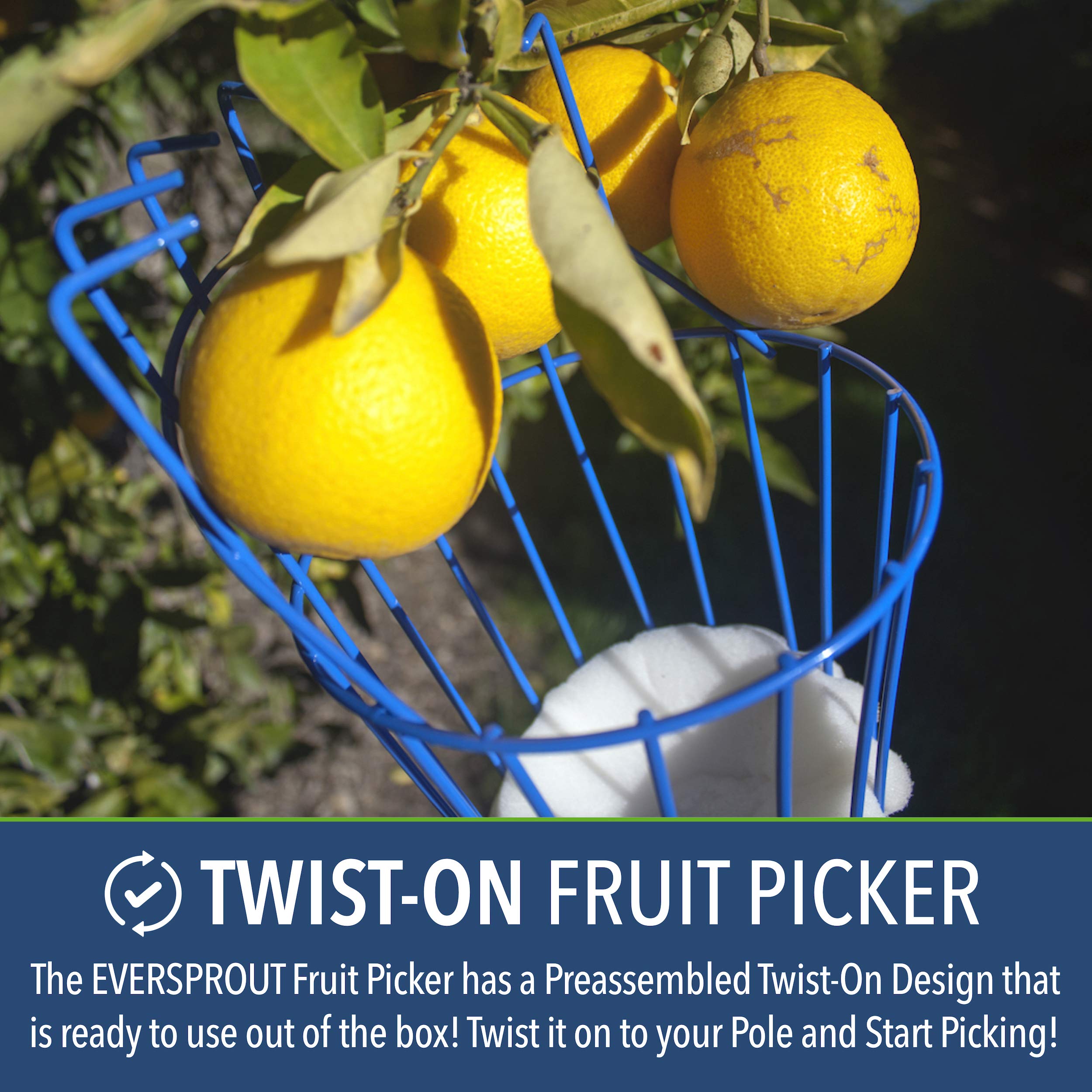 EVERSPROUT Twist-On Fruit Picker Basket - 3/4-inch ACME Threaded Pole Attachment for Harvesting Apples, Mangoes & More | Lightweight Fruit Harvesting Tool | Perfect for Home Orchards & Backyard Gardening (Head Only, Pole Sold Separately)