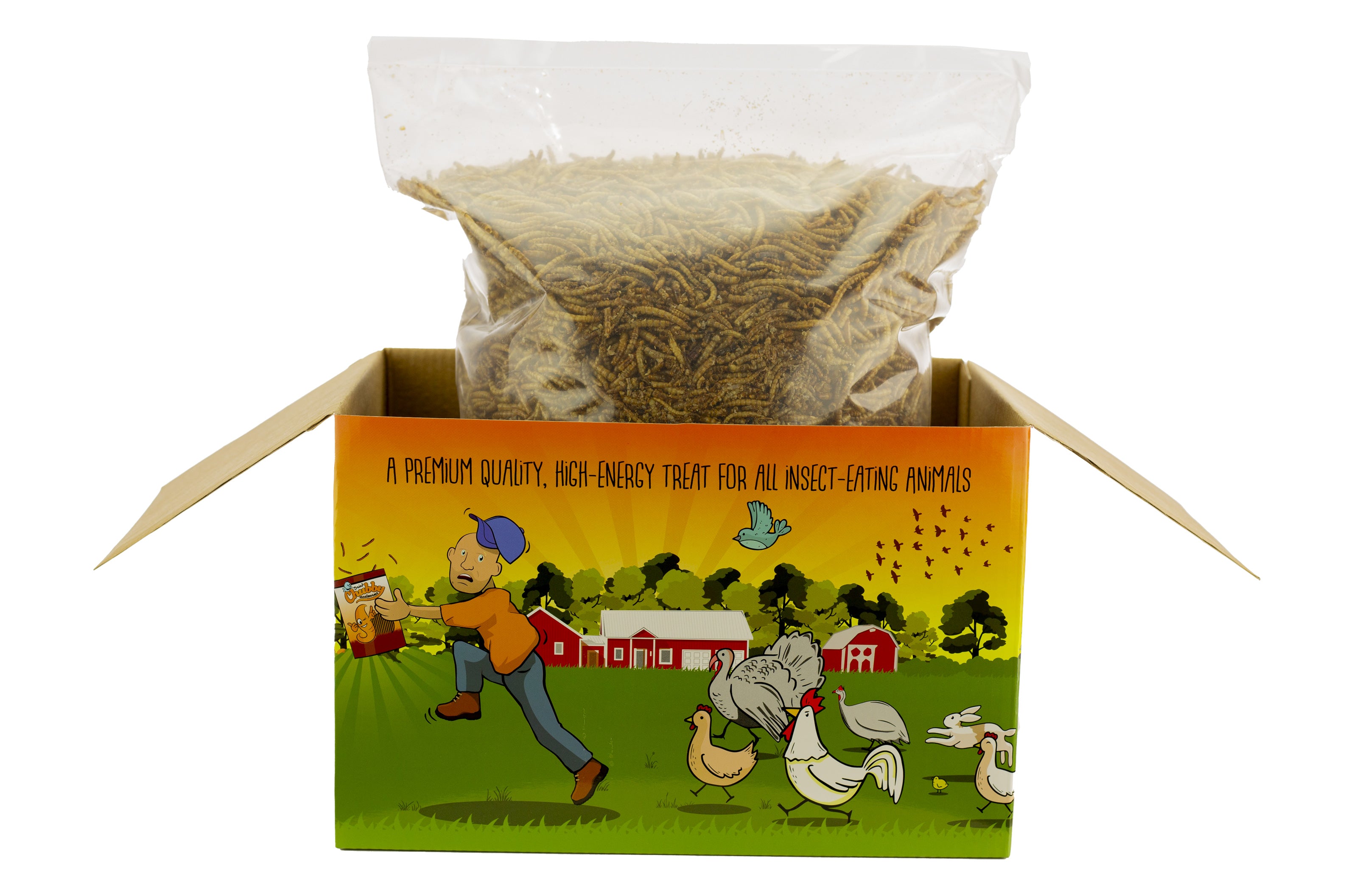 3Lb Chubby Dried Mealworms for Chickens - High Protein Bird Treat - Coop Dreams Limited Edition Box - Perfect for Poultry, Wild Birds & Reptile Feeding