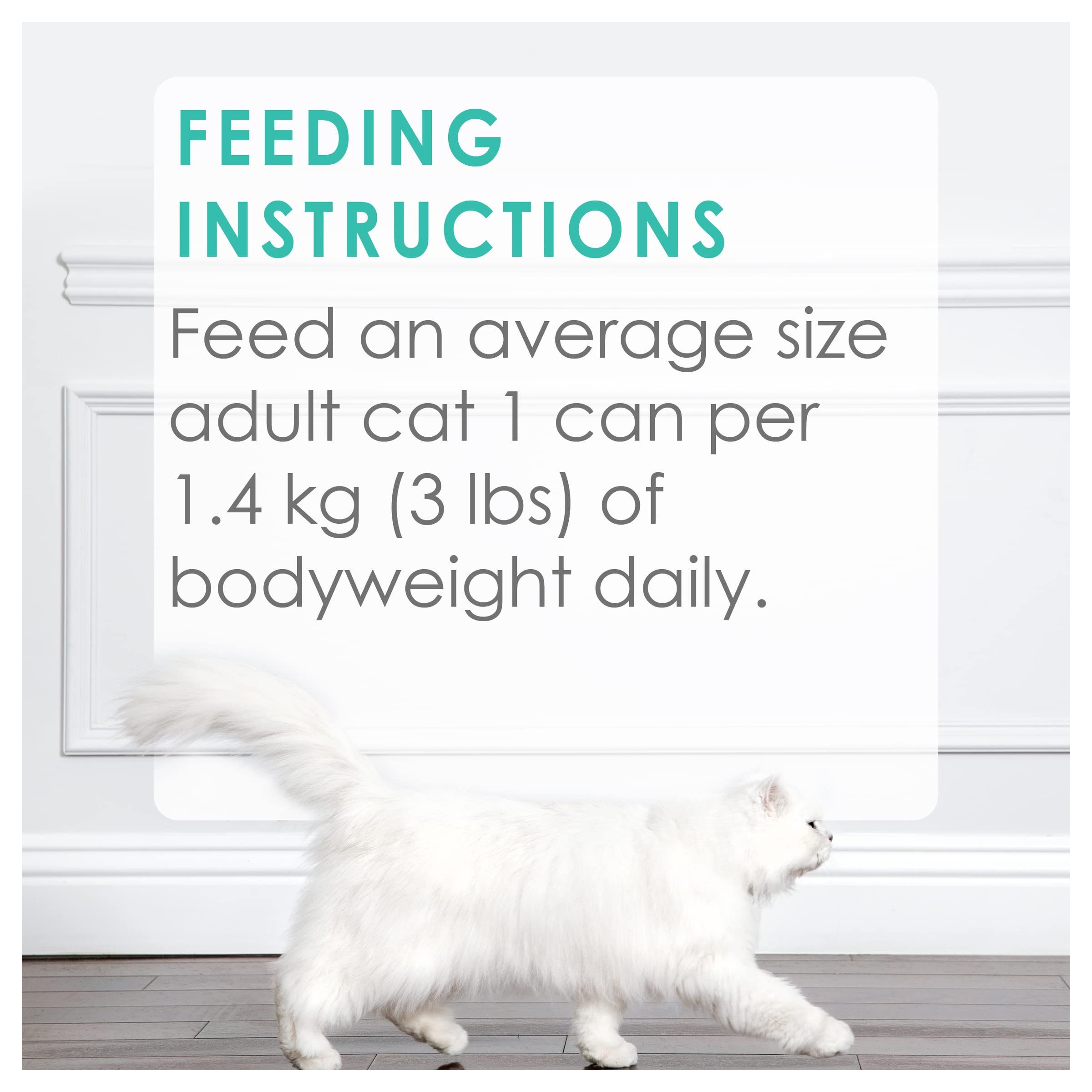 Fancy Feast Medleys Wet Cat Food - Florentine Collection Variety Pack (3 Flavors, 85g x 12 Cans) | Gourmet Cat Food for Adult Cats | Perfect for Mealtime, Travel & Special Treats