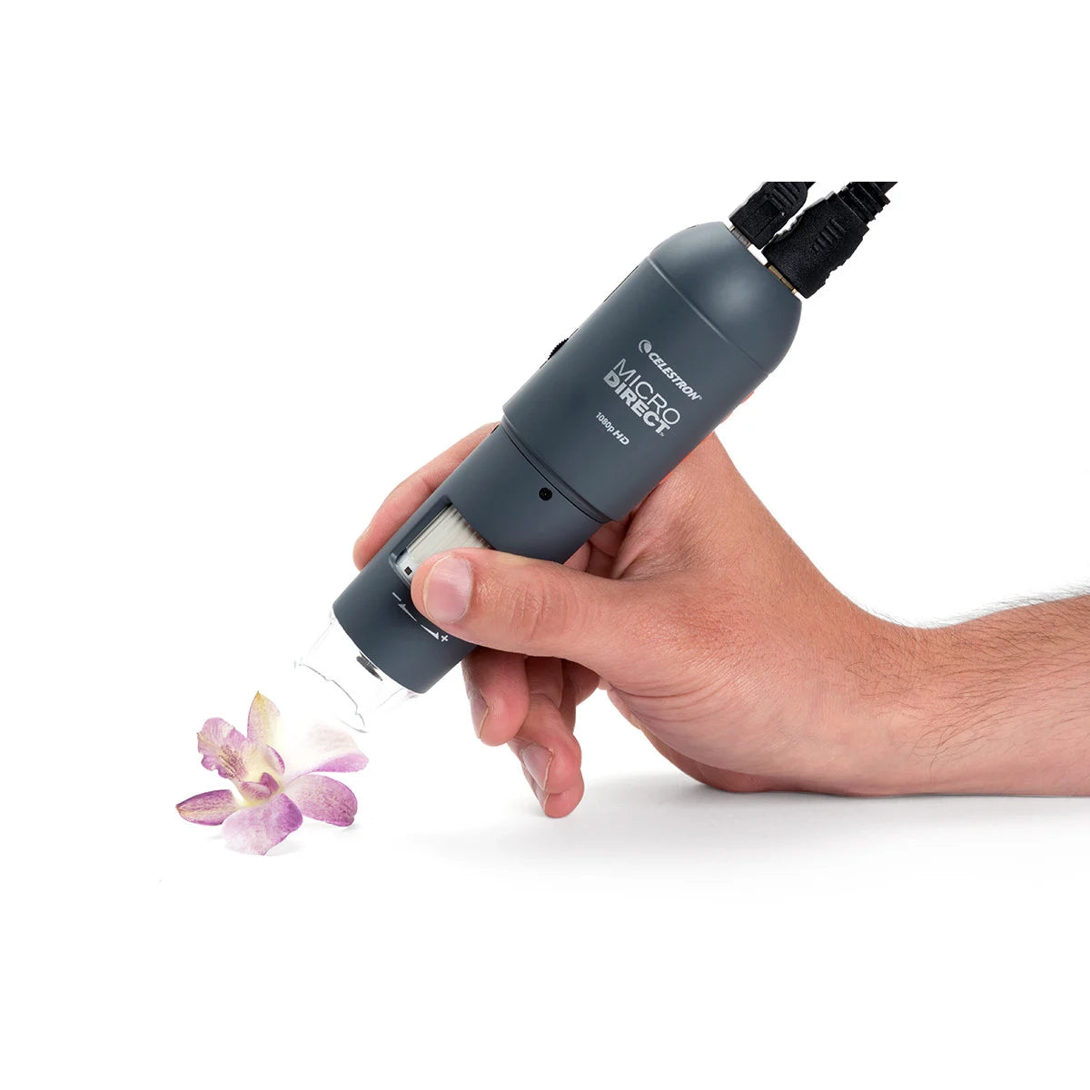 Celestron MicroDirect 1080P HDMI Handheld Digital Microscope with 4.3