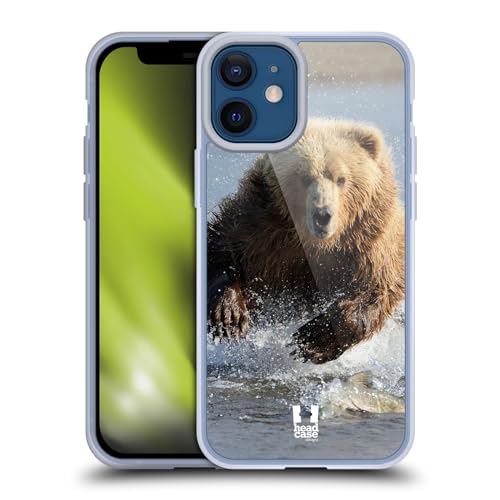 Grizzly Bear Jumping