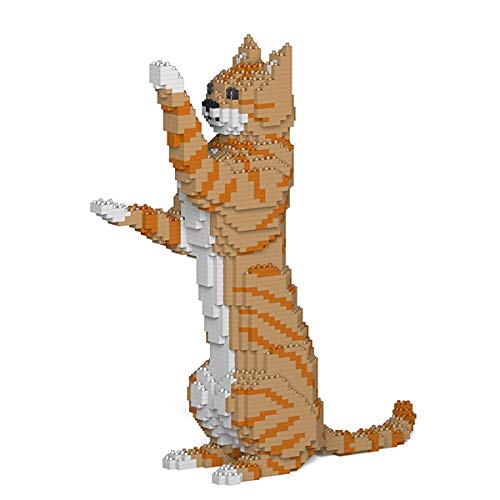 Orange Tabby