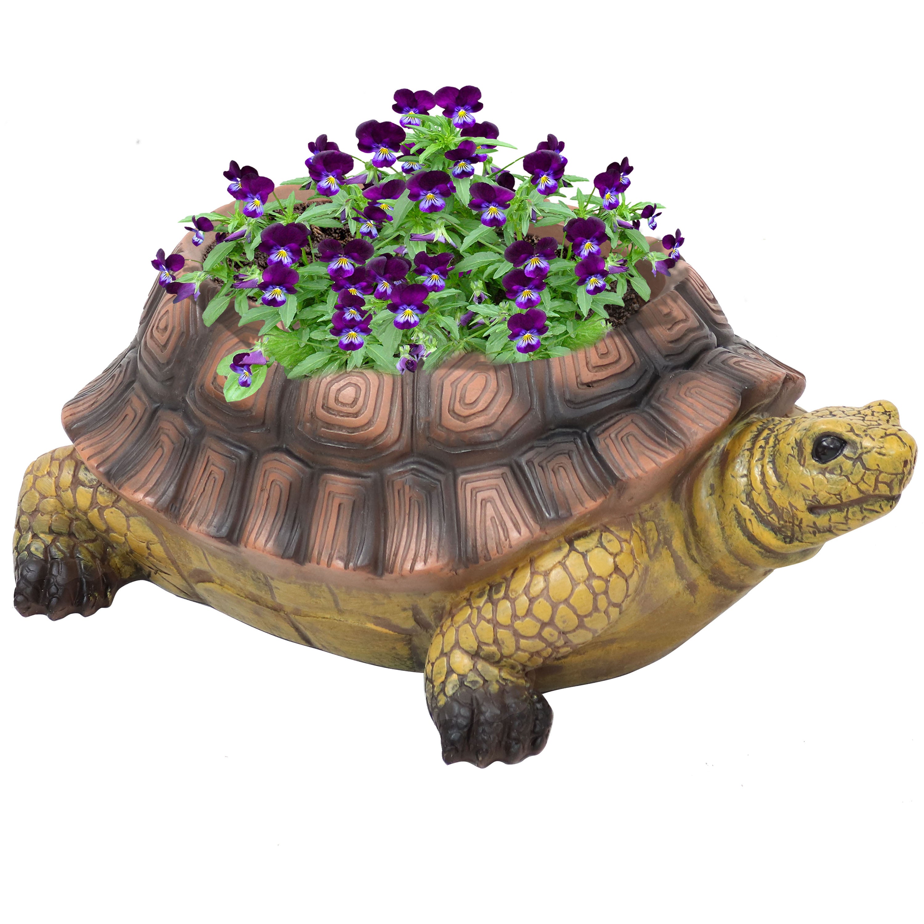 Sunnydaze Teddy the Tortoise Polyresin Planter - 11 Inch Decorative Garden Flower Pot for Outdoor & Indoor Plants | Perfect for Succulents, Herbs, and Small Flowers