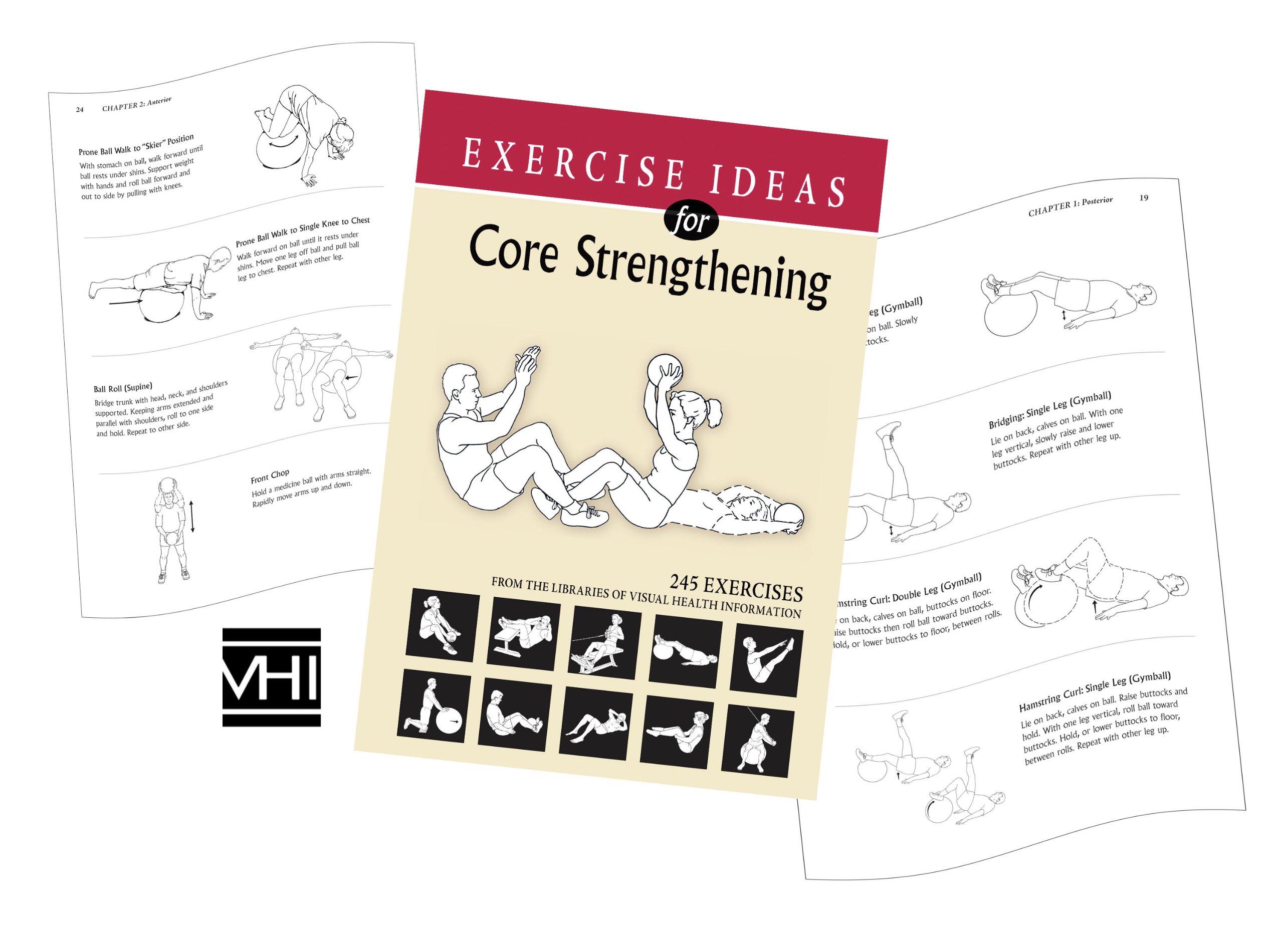 Core Strengthening Exercises: 5-Book Series Vol.1 by Exercise Physiologist Dr. Irv Rubenstein | Home Workouts, Gym Training & Physical Therapy