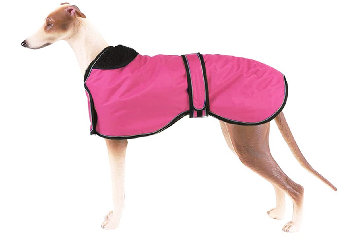 Waterproof Dog Jacket for Winter - Warm Fleece Lined Outdoor Dog Coat with Adjustable Straps for Medium & Large Dogs, Pink XL - Perfect for Hiking, Walking & Cold Weather Protection